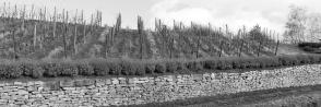 Siefersheim Heerkretz Grosse Lage